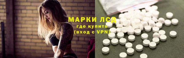 трава Белокуриха
