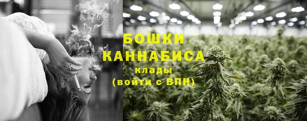 трава Белокуриха