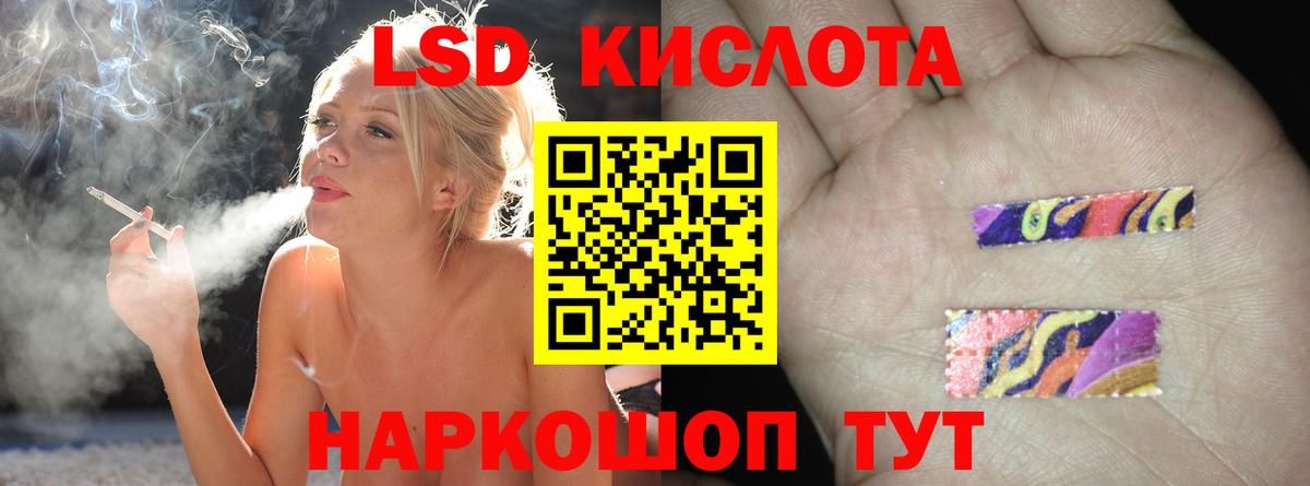Бошки Шишки Реутов