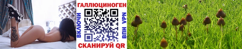 купить наркоту  MEGA онион  Галлюциногенные грибы MAGIC MUSHROOMS  Реутов 