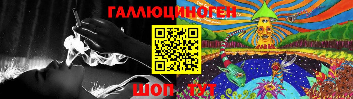 Реутов  Галлюциногенные грибы Psilocybe  Вход с VPN 
